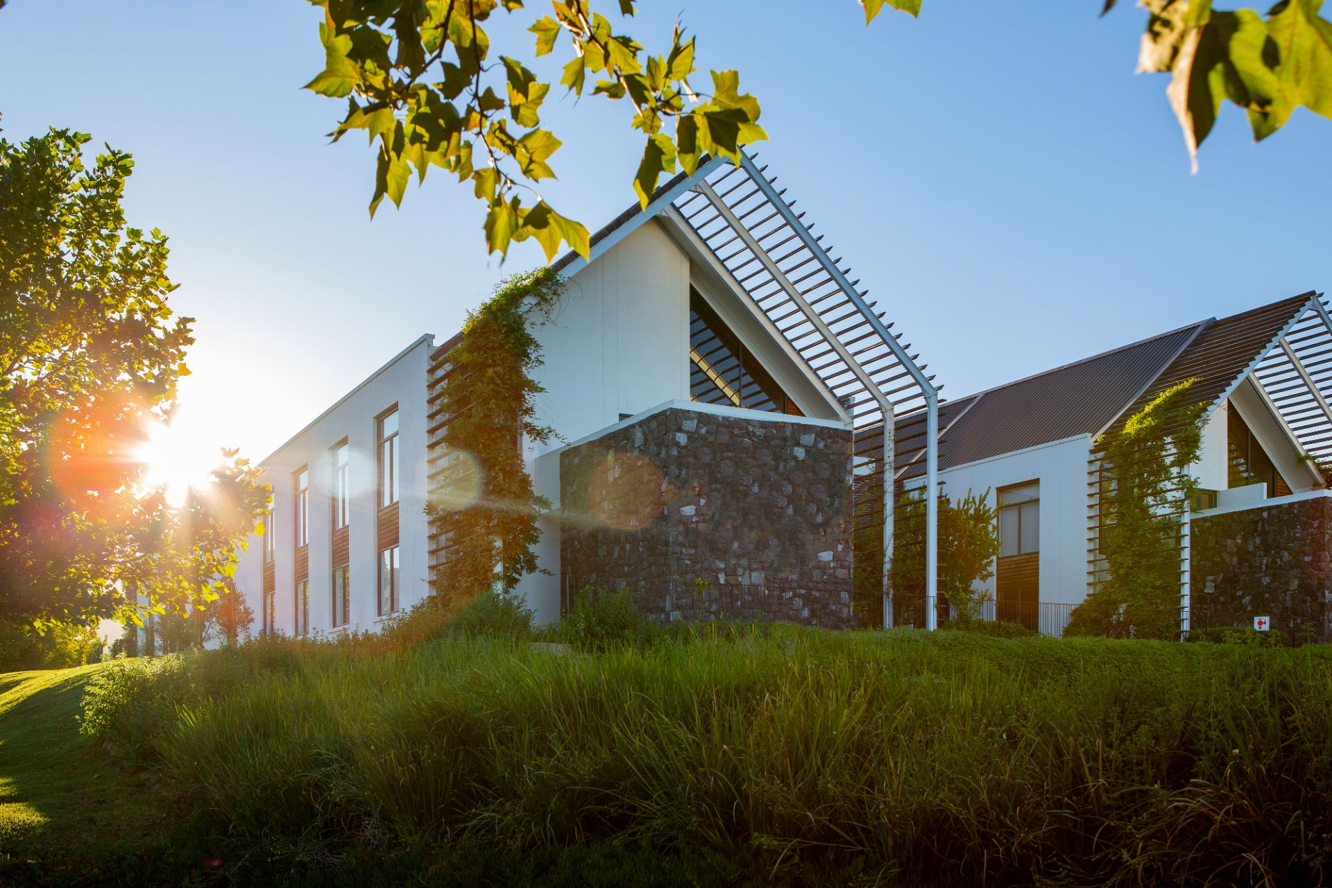 Polo-Village-Offices-1